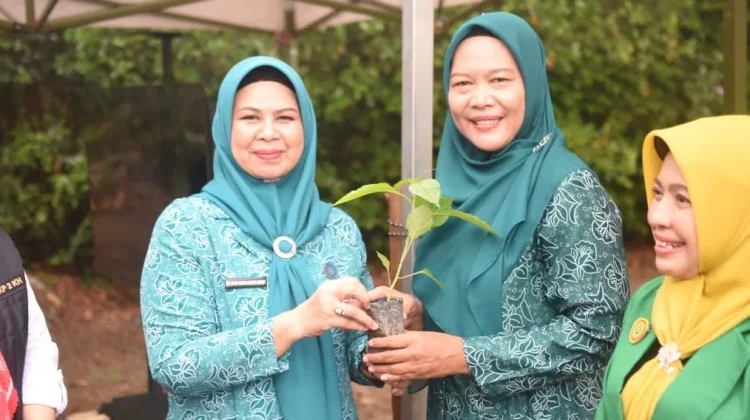Penyerahan Bibit Cabai Sebagai Penguatan Ketahanan Pangan Masyarakat