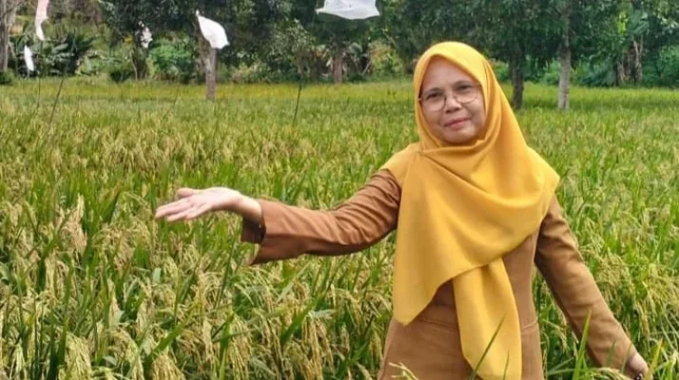 DKPP Bintan Optimalkan Padi Gogo Tingkatkan Produktivitas Petani