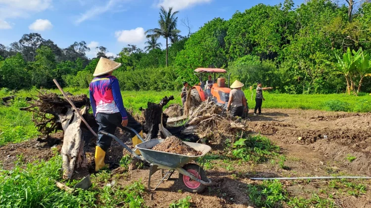Kemenag Bintan Kembangkan Lahan Green Economy untuk Budidaya Cabai