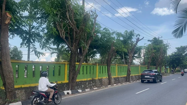 Pemko Tanjungpinang Pangkas Pohon Antisipasi Cuaca Ekstrem