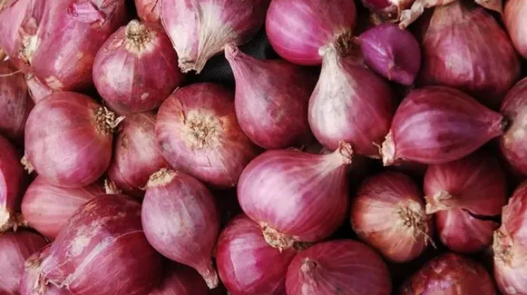 Tahukah Kamu, Bawang Merah Jadi Sayuran Terbanyak Diproduksi di 2025