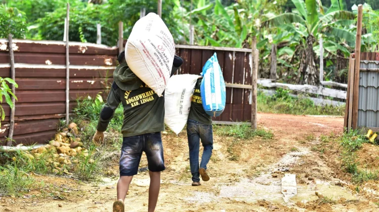 Sekda Lingga Kembangkan Semangka Demi Ketahanan Pangan Daerah