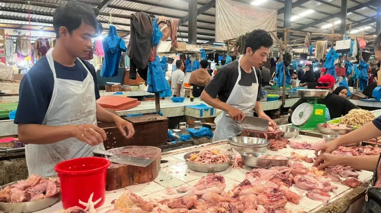 Harga Ayam dan Sapi Tanjungpinang Mulai Naik jelang Iduladha 1447 H