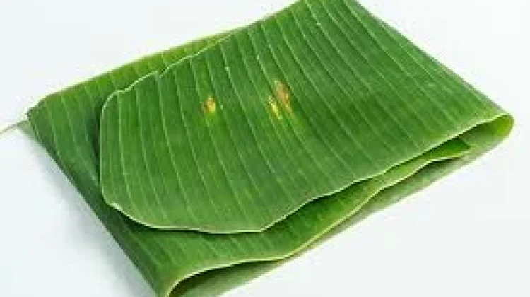 Daun Pisang Sebagai Simbol Tradisi dan Budaya