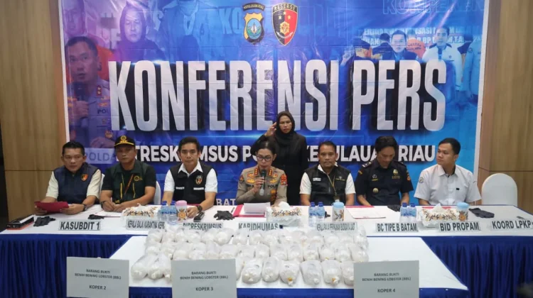 Sebanyak Seratus Ribu Benih Lobster Diamankan Ditreskrimsus Polda Kepri