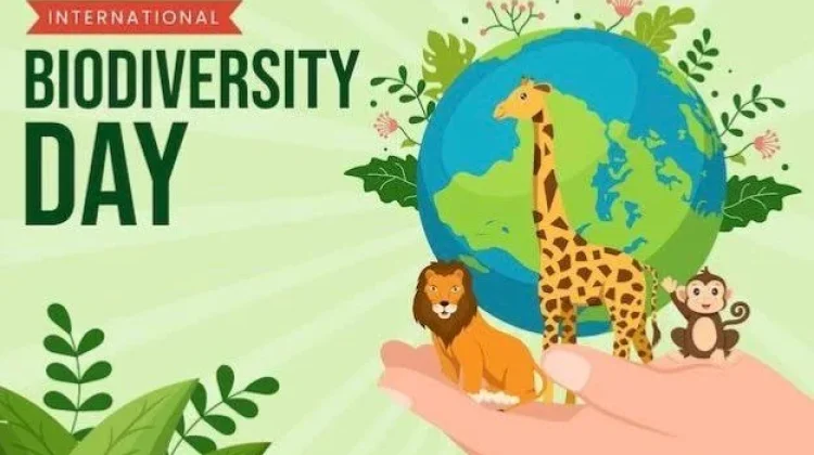 Hari Keanekaragaman Hayati: 5 Satwa Endemik Indonesia yang Mendunia