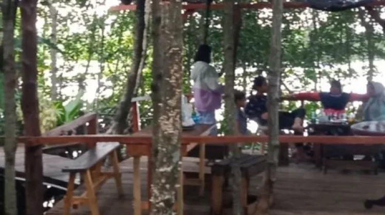Diantara Akar Bakau dan Aroma Kopi