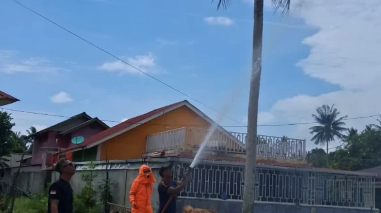 Damkar Lingga Musnahkan Sarang Tawon Vespa Dekat Rumah Warga
