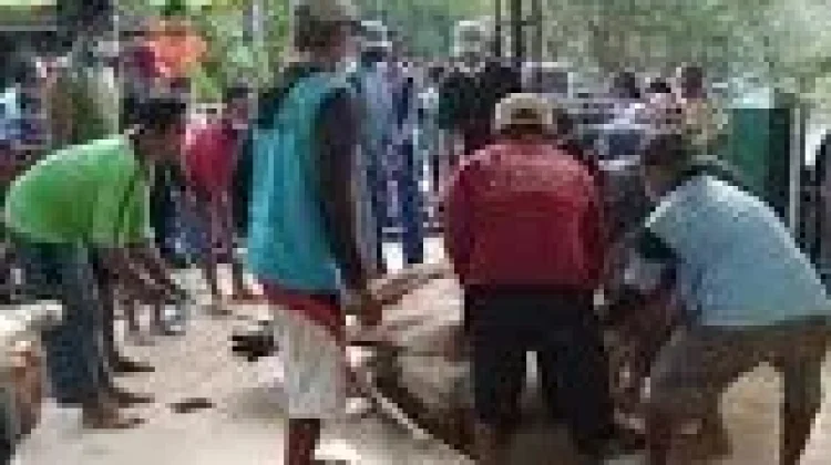 Idul Adha Momen Menebar Kebaikan Melalui Ucapan dan Pengorbanan