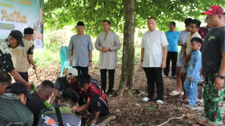 Kodim 0315 Tanjungpinang Lakukan Pemotongan Hewan Qurban