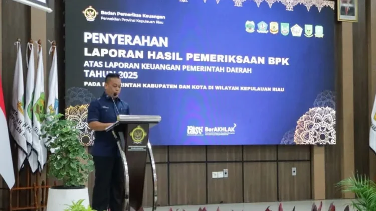 BPK Serahkan LHP Keuangan Daerah Kepada Lingga