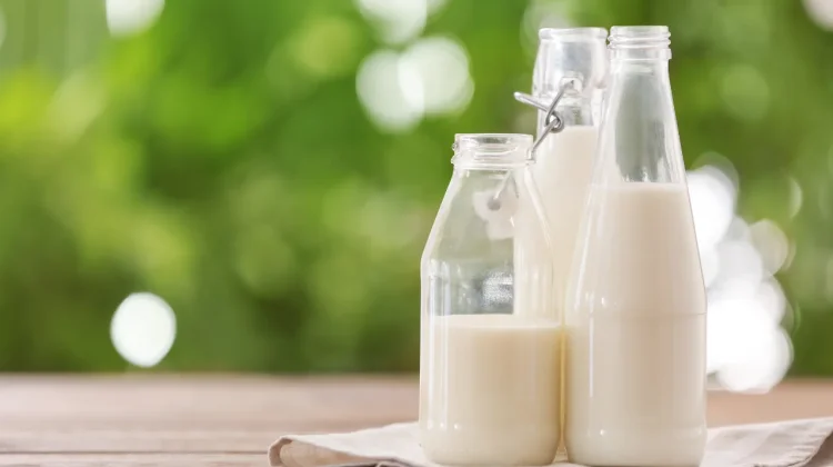 Konsumsi Susu untuk Mendukung Pertumbuhan dan Kesehatan Remaja