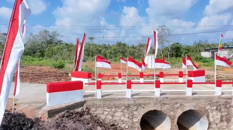 Permudah Akses Transportasi, Jembatan Garuda Toapaya Selatan Diresmikan