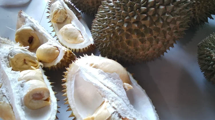 Durian, saat Gigitan Pertama Mengubah Segalanya