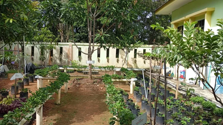 KUA Seri Kuala Lobam Manfaatkan Lahan Sempit untuk Budidaya Pangan dan Perikanan