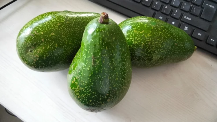 Superfood Yang Dekat Dengan Kita