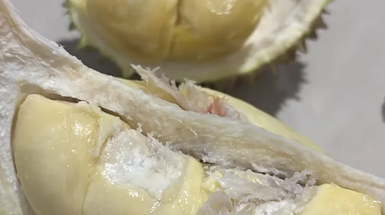 Durian Melimpah, Musim Panen Raya Dongkrak Ekonomi Warga