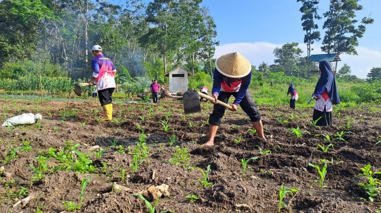 Ekoteologi Kemenag Bintan Diperkuat lewat Program Green Econom