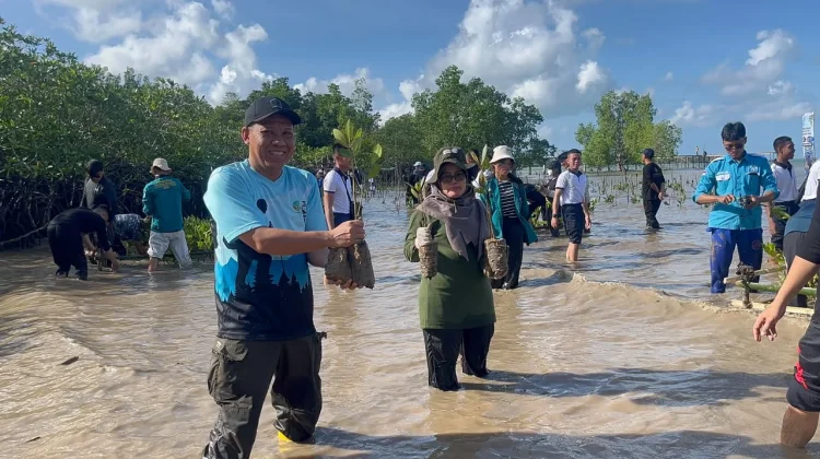 Kolaborasi UMRAH Tanam 20 Ribu Bibit Mangrove, Upaya Selamatkan Ekosistem Pesisir