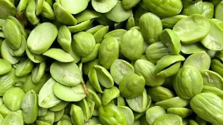 Petai: Si Imut yang Bau namun Kaya Nutrisi