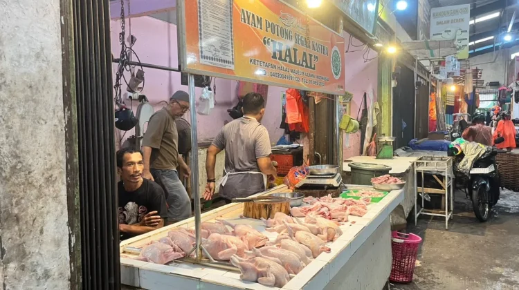 Harga BBM Bayangi Stabilitas Daging Ayam Tanjungpinang