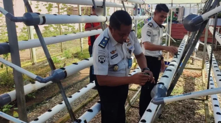 Lapas Narkotika Tanjungpinang Kembangkan Perikanan dan Hidroponik
