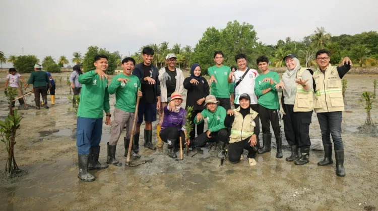 Bintan Resorts Tanam 1.000 Bibit Mangrove, sebagai Benteng Pesisir