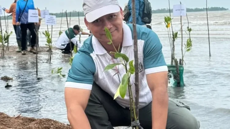 Dukung Kelestarian Mangrove BPDAS Seijang Duriangkang Siapkan 60 Ribu Bibit