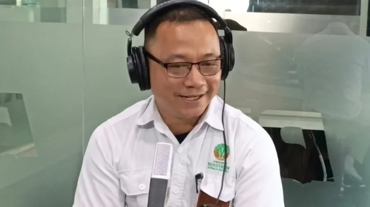 Planting Tourisme Berikan Pengalaman Menanam Mangrove pada Wisatawan