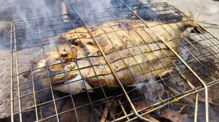 Ikan Bakar, Menu Sederhana yang Lezat dan Kaya Nutrisi