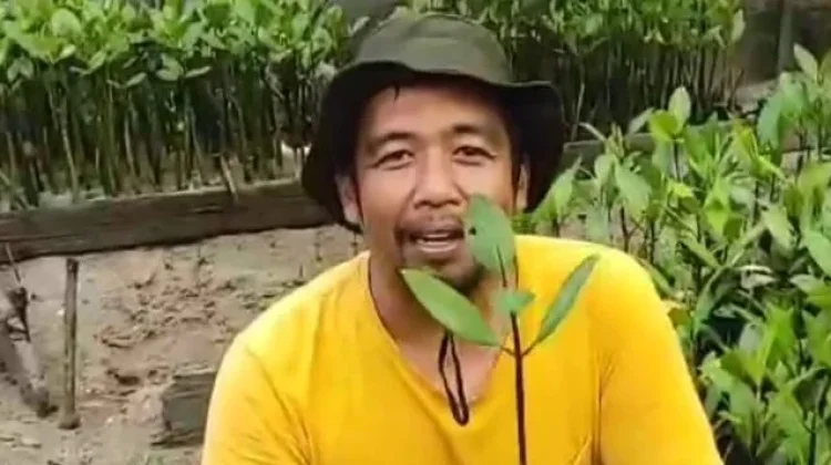 Limbah Minyak Hitam Menjadi Tantangan Pelestarian Mangrove di Bintan