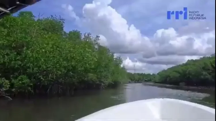 Peningkatan Kesadaran Masyarakat Menjadikan Kelestaraian Mangrove Tetap Terja