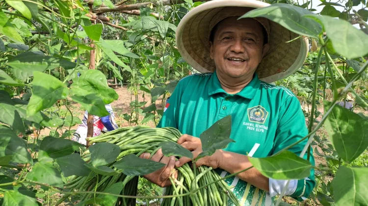 Program Green Economy Kemenag Bintan Mulai Panen Hasil