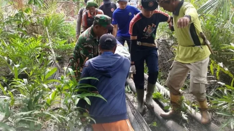 Lansia 66 Tahun Ditemukan Meninggal di dalam Hutan