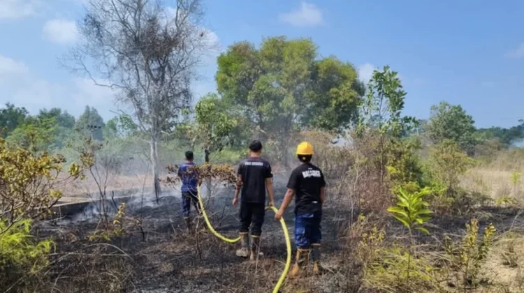 Lahan Terbakar di Merawang, Damkar Lingga Bergerak Cepat