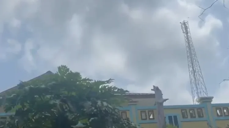 Kabut Asap Diduga Dampak Karhutla di Kalimantan, Belum Ganggu Jarak Pandang