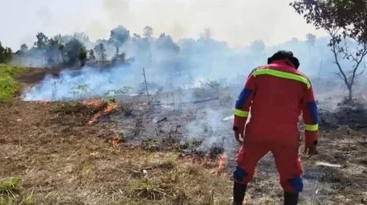 10 Hektare Lahan Terbakar, Damkar Lingga Bergerak