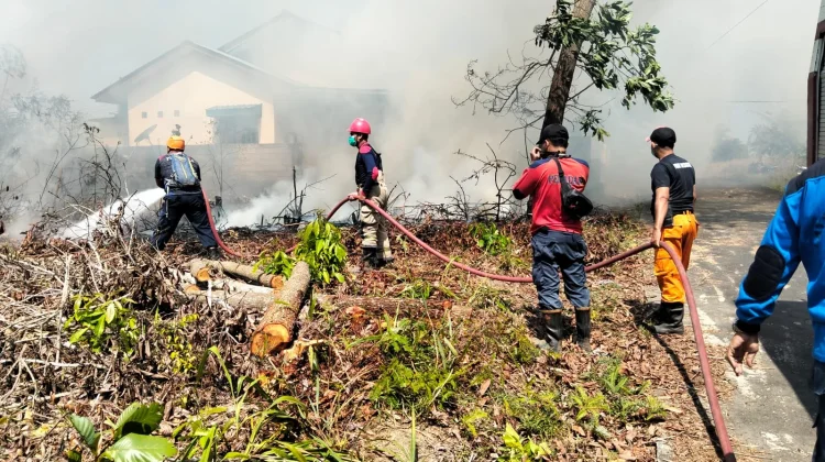 Hampir Satu Jam Damkar Toapaya Berhasil Padamkan Karhutla