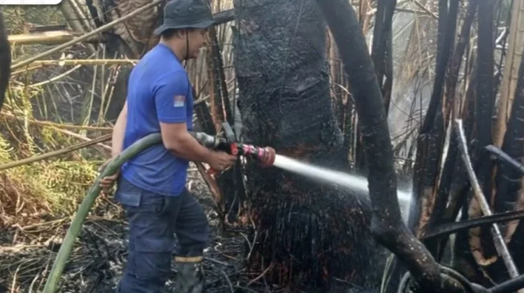 Damkar Lingga Padamkan Kebakaran Lahan di Merawang