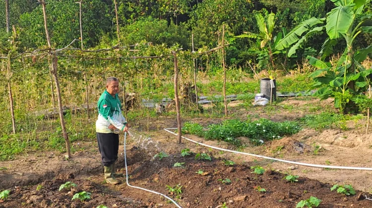 Kemenag Bintan Perkuat Program Green Economy melalui Budidaya Sayuran