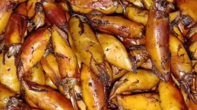 Cumi Salai, Olahan Unik Menikmati Cumi