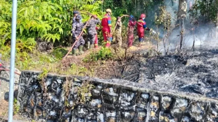 Karhutla Hanguskan 1,3 Hektare Lahan di Desa Pelakak Lingga