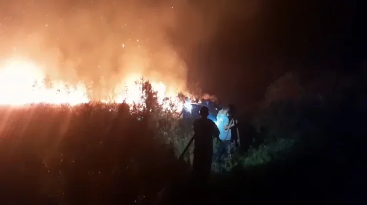 Empat Karhutla Terjadi dalam Tiga Hari di Lingga