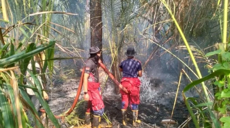 Damkar Lingga Padamkan Karhutla di Desa Merawang Lingga