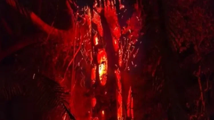 Damkar Lingga Padamkan Kebakaran Lahan di Centeng