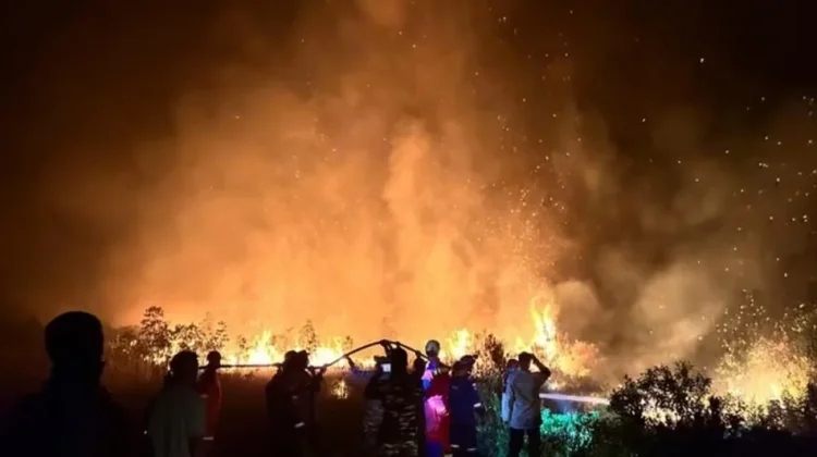 Empat Kebakaran Terjadi di Lingga dalam Sehari