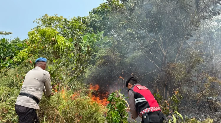 Kebakaran Lahan 1,5 Hektare Terjadi di Dompak
