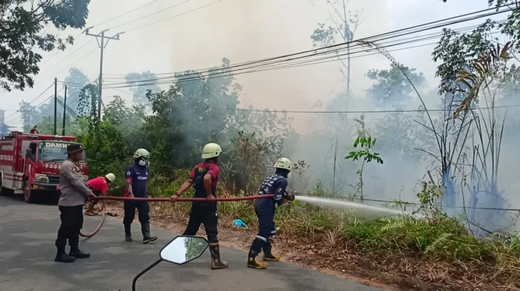 Kebakaran Lahan Terjadi Lagi di Pinang Kencana, Polisi Imbau Warga Waspada