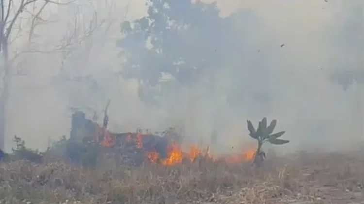 Dua Hari Berturut, Kebun Nyiur Kembali Dilanda Karhutla