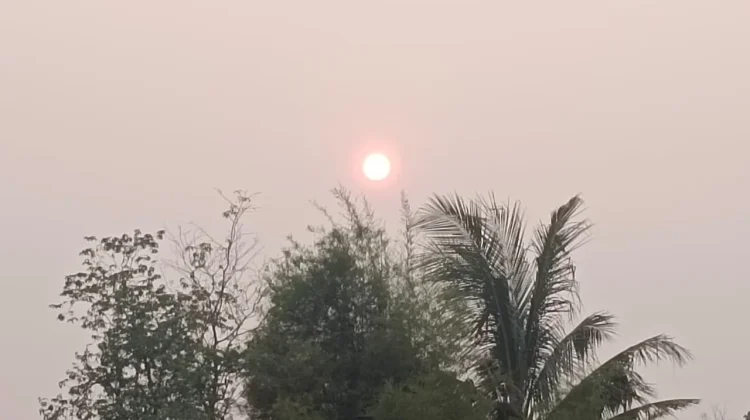 Kabut Asap, BMKG Prakirakan Kepri Cerah Berawan Tujuh Hari